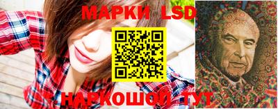 гидропоника Кингисепп
