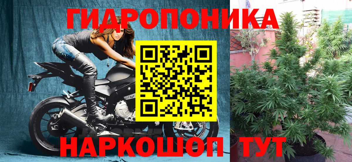 Бошки марихуана VHQ  Каннабис марихуана  Вологда  Вход с VPN  Канабис Amnesia  МАРИХУАНА конопля 